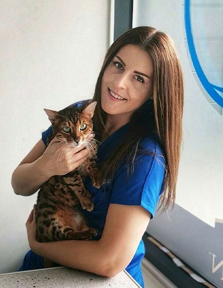 zdravkova e1787142339558