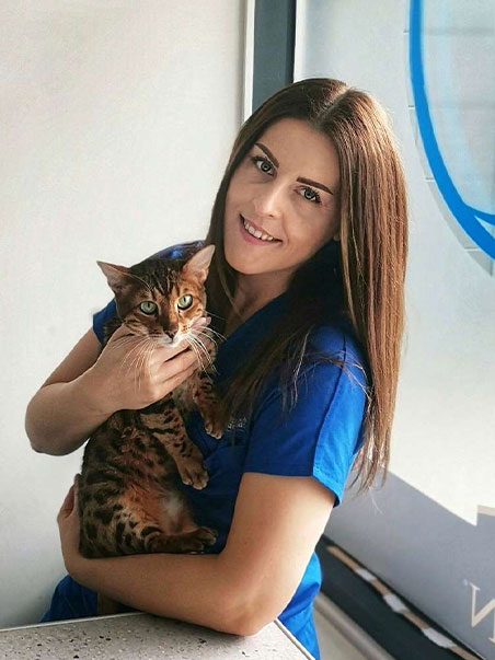 zdravkova