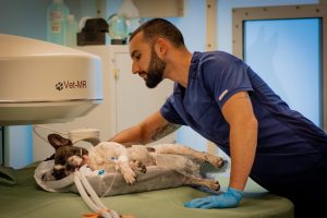 Ядрено-магнитен резонанс (ЯМР)