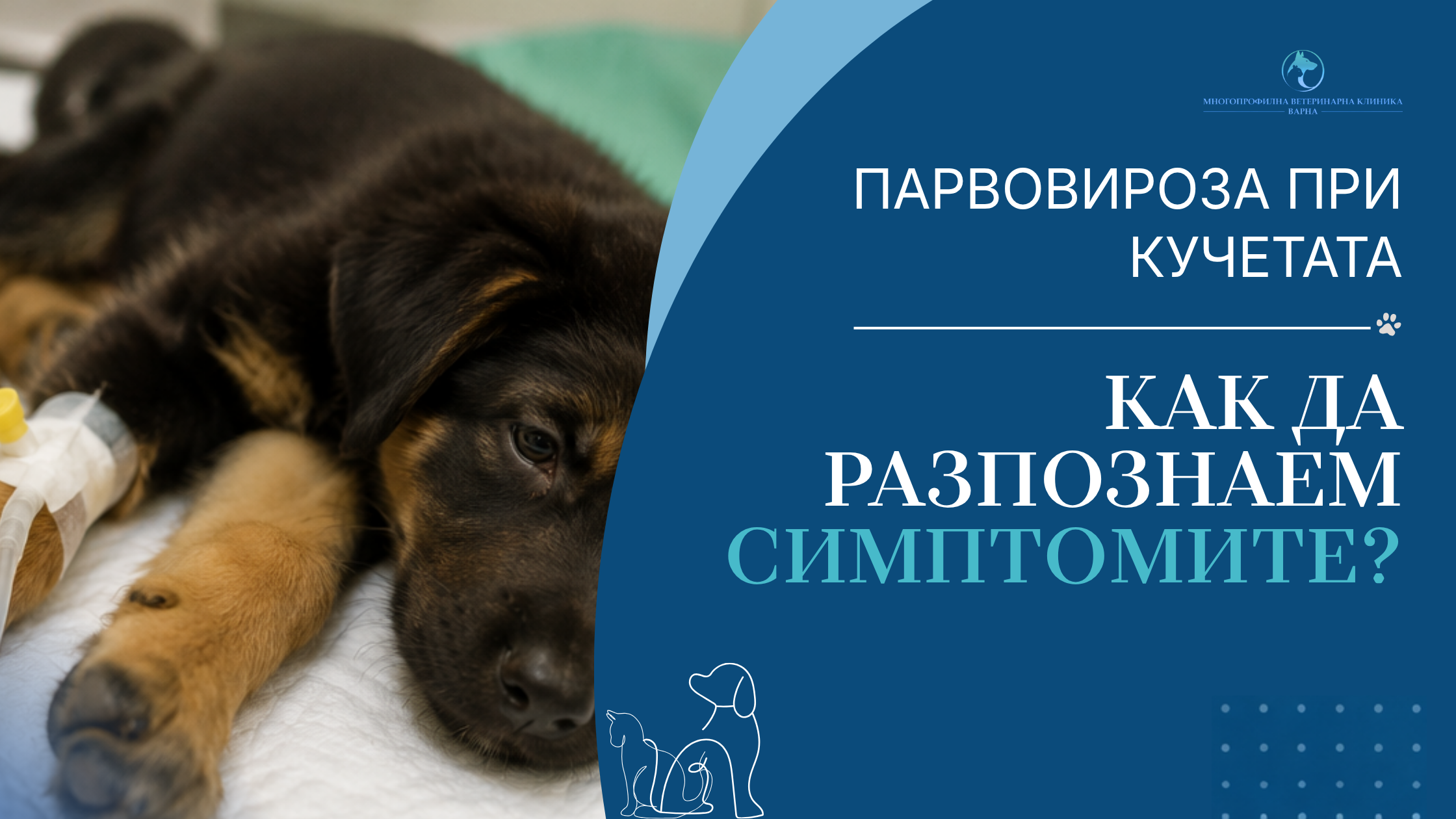 Парворироза при кучетата