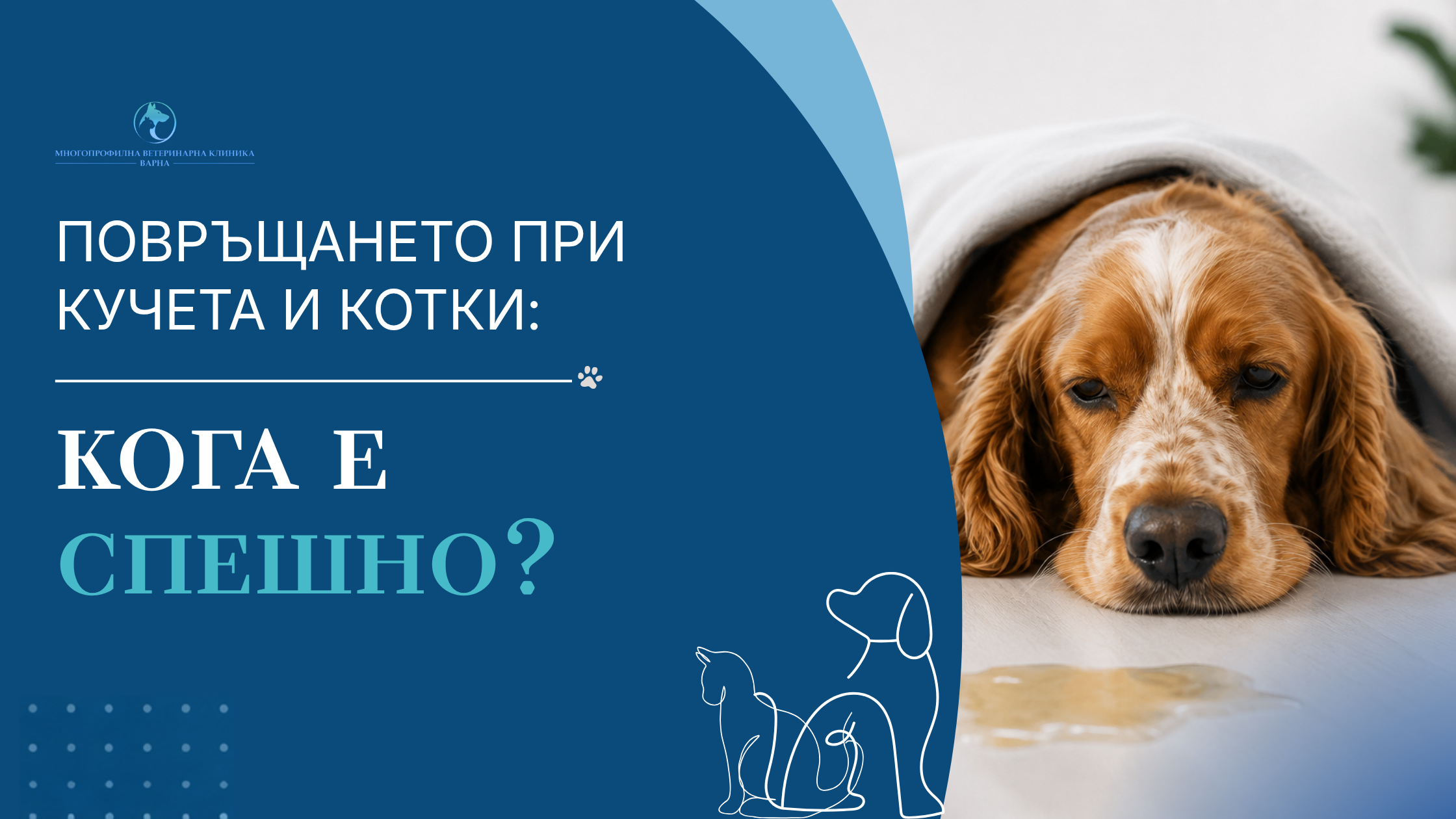 Повръщане при кучета и котки: кога е спешно?